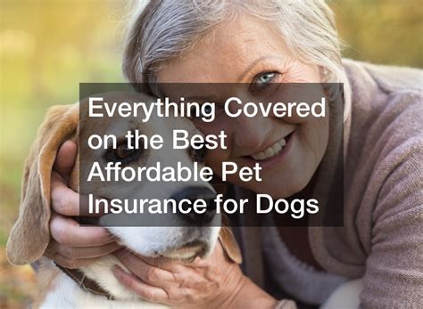 affordable pet insurance for older dogs.insfindrq.com.